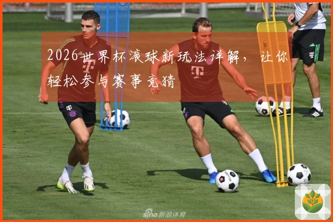 2026世界杯滚球新玩法详解，让你轻松参与赛事竞猜